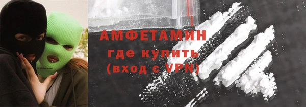 крисы Няндома