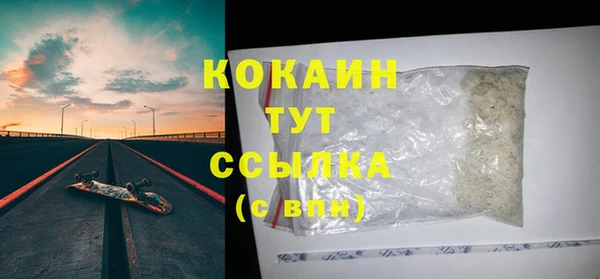 крисы Няндома