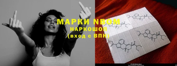 крисы Няндома