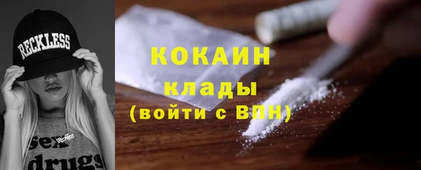 крисы Няндома