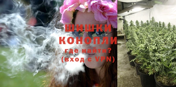 крисы Няндома