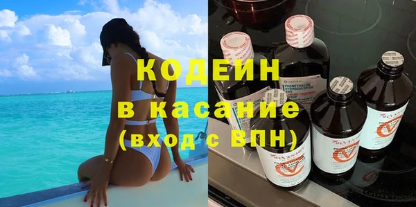 крисы Няндома