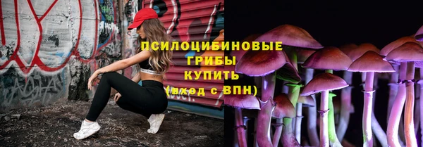 крисы Няндома
