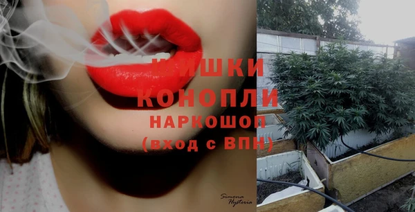 крисы Няндома
