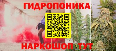 эйфоретик Донской