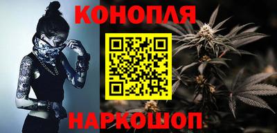 индика Бийск