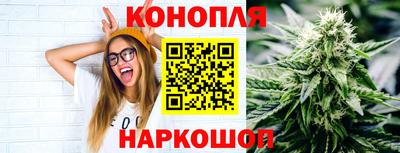 индика Бийск