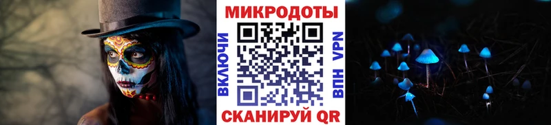 Галлюциногенные грибы Psilocybe Сарапул