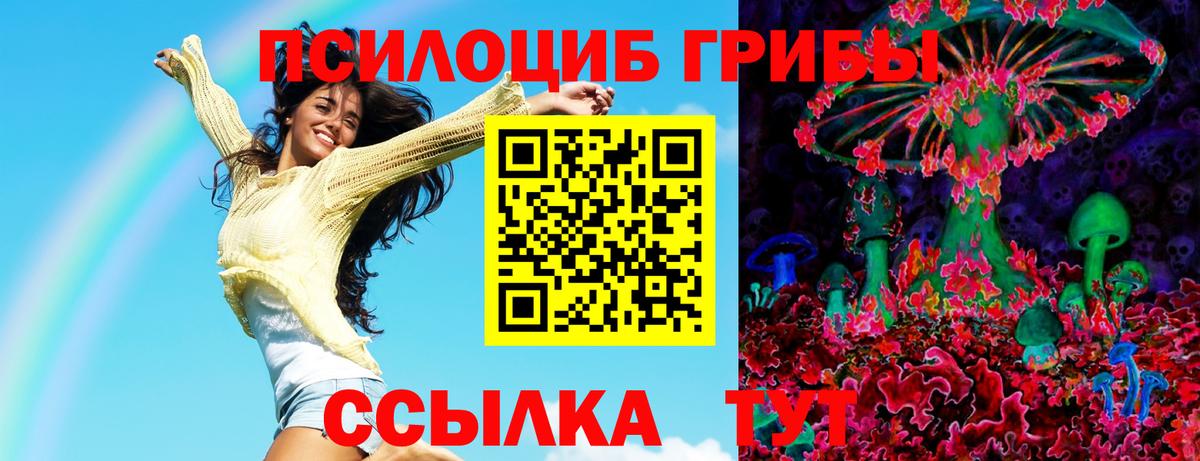 ГАШ Сарапул